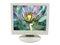 iiyama ProLite E385-W White 15" 35ms LCD Monitor 250 cd/m2 400:1