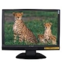 22-Inch Envision G218a1 Widescreen VGA/DVI TFT LCD Monitor (Black)