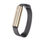 Misfit Ray Polished Gold/Zwart Sport Band