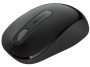 Microsoft Wireless Mouse 900