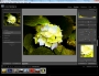 Adobe Lightroom 3