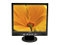 JetWay M1731S-F Black 17" 16ms LCD Monitor 300 cd/m2 450:1 Built-in Speakers